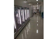 Προσαρμοσμένες μεγέθους πόρτες κρύας αποθήκευσης/πόρτα γυαλιού για τον ψυκτήρα ιατρικής