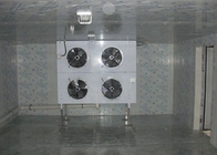Προσαρμοσμένα ξηρά μέρη ψύξης εξατμιστήρων τύπων για το κρύο δωμάτιο/την κρύα αποθήκευση