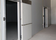 Φυτικός περίπατος δωματίων κρύας αποθήκευσης επιτροπής πολυουρεθάνιου στο ψυγείο με το διπλό χάλυβα χρώματος