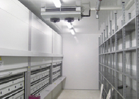 Βιομηχανικό μορφωματικό δωμάτιο κρύας αποθήκευσης για το κρέας/τα ψάρια/την ιατρική, επιτροπή πάχους 50 - 200mm