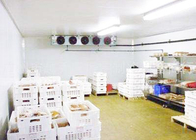 Δωμάτιο κρύας αποθήκευσης συμπιεστών Copeland για τα θαλασσινά κρέατος που επεξεργάζονται την εξουσιοδότηση 1 έτους