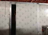 Αυτόματες συρόμενες πόρτες κρύας αποθήκευσης τύπων 100mm πάχος για το κρύο δωμάτιο/το ενιαίο φύλλο